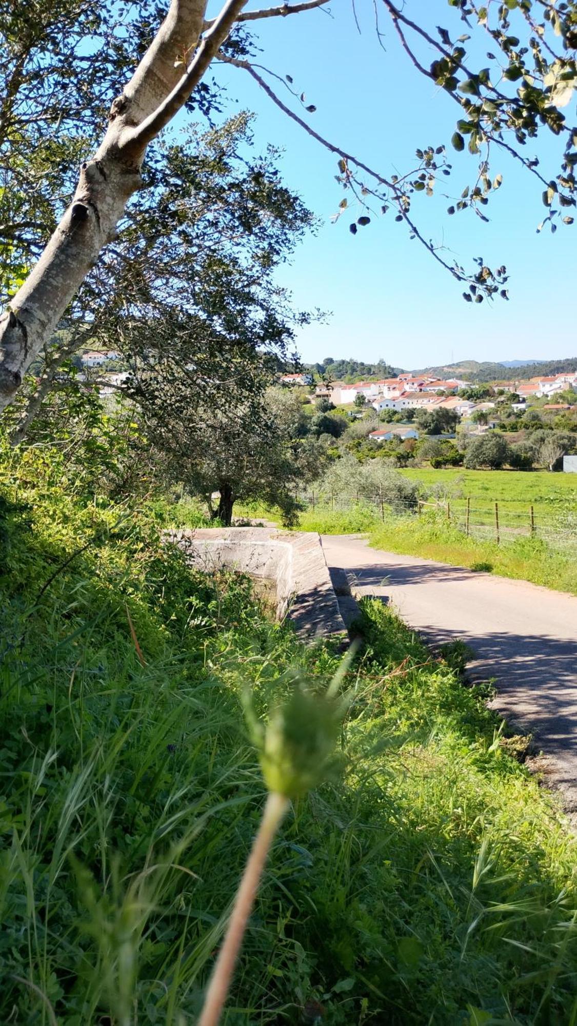 Casinha Do Repouso Vila São Bartolomeu de Messines Exterior foto